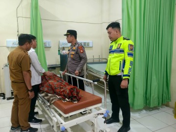 Kerbau Berkeliaran Di Jalinsum, Warga Muratara Meninggal Dunia