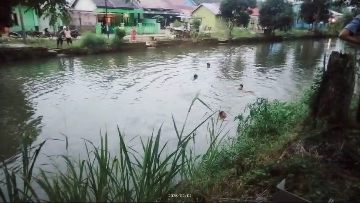 Siswa SMP IT Nuriska Ditemukan Tewas Tengelam Di Saluran Irigasi Siring Agung