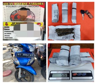 Satres Narkoba Linggau Gagalkan Peredaran Ganja Dari Bengkulu, Seorang Pengedar Diamankan