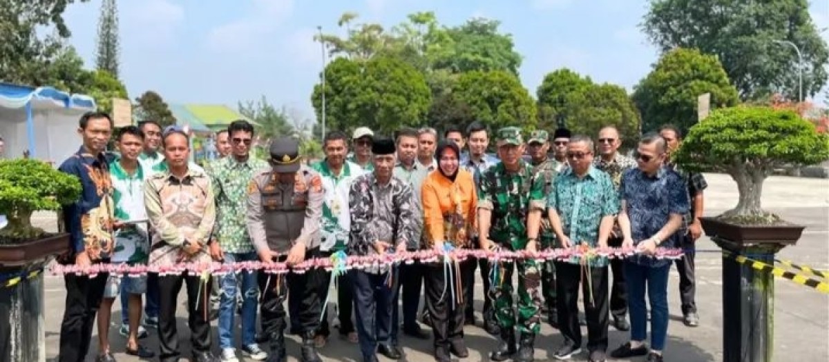 Wawako Apresiasi Kontes Bonsai Lubuk Linggau, Bonsai Mempunyai Nilai, Ekonomi, Seni Dan Alam