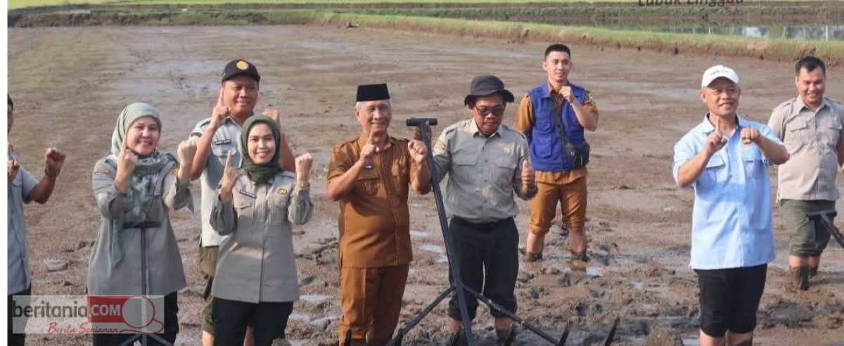 Gerakan Tanam Padi Memdorong Peningkatan Produksi Pertanian