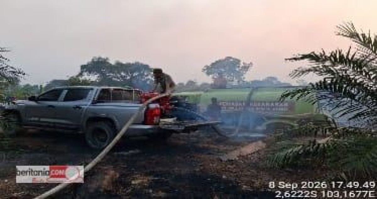Konsisten Tangani Karhutlah Kepedulian PT Lonsum Indonesia Tbk Jaga Ekosistem Lingkungan