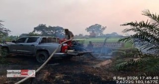 Konsisten Tangani Karhutlah Kepedulian PT Lonsum Indonesia Tbk Jaga Ekosistem Lingkungan