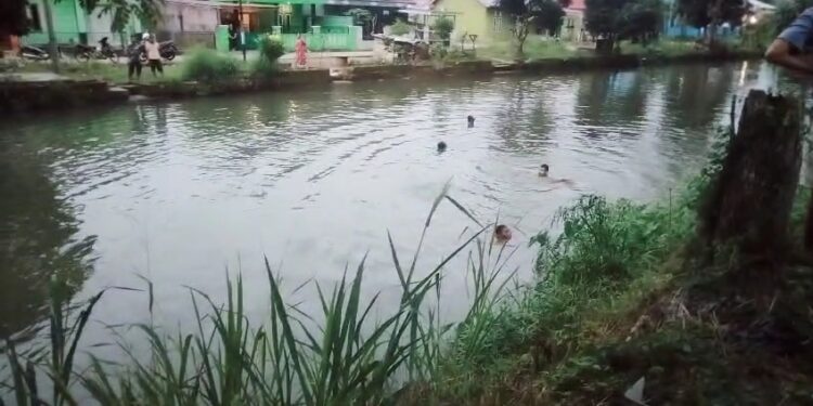 Siswa SMP IT Nuriska Ditemukan Tewas Tengelam Di Saluran Irigasi Siring Agung 