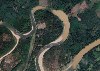 DLH Muratara Bungkam Terkait PETI, Sungai Keruh Dan Hutan Rusak