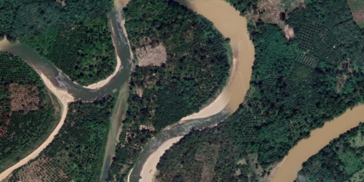 DLH Muratara Bungkam Terkait PETI, Sungai Keruh Dan Hutan Rusak