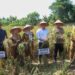 Dukung Program Swasembada Pangan, Wako Panen Raya Bersama Petani