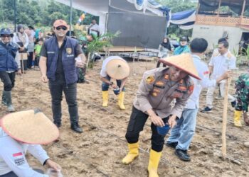 Sinergi Kapolsek, Forkopimcam Bersma Petani Tanam Jagung Cara Tradisional
