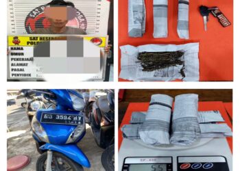 Satres Narkoba Linggau Gagalkan Peredaran Ganja Dari Bengkulu, Seorang Pengedar Diamankan
