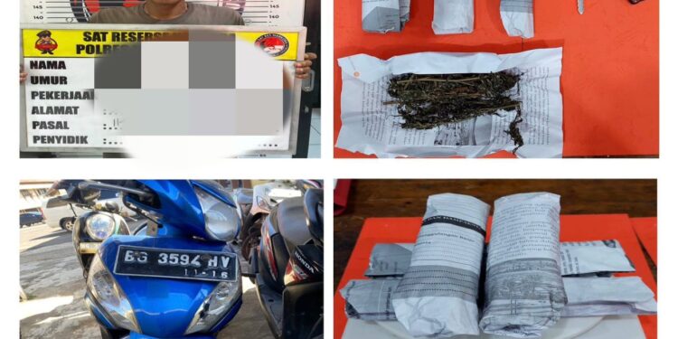 Satres Narkoba Linggau Gagalkan Peredaran Ganja Dari Bengkulu, Seorang Pengedar Diamankan