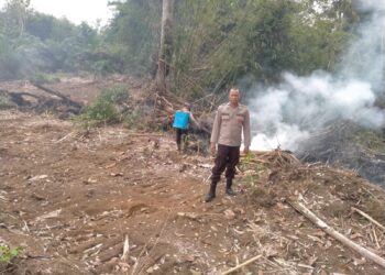 Lahan Terbakar di Lubuk Linggau Utara II, Tim Gabungan Berjuang Padamkan Api dengan Peralatan Seadanya