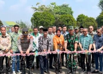 Wawako Apresiasi Kontes Bonsai Lubuk Linggau, Bonsai Mempunyai Nilai, Ekonomi, Seni Dan Alam