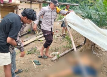 Diduga Sakit Paru-Paru, Dadang Tewas Tergeletak Dikebun